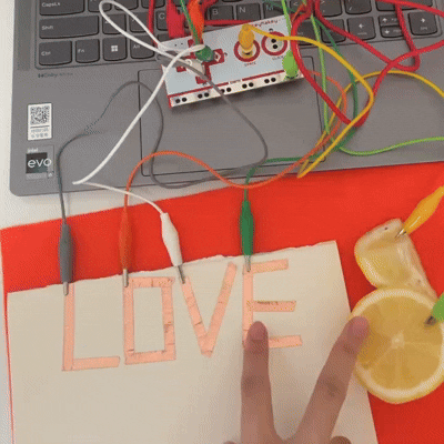 Lemon and Copper Bar Induction