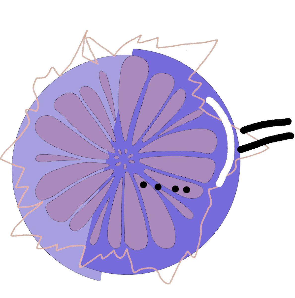 put a description here or you will lose grades